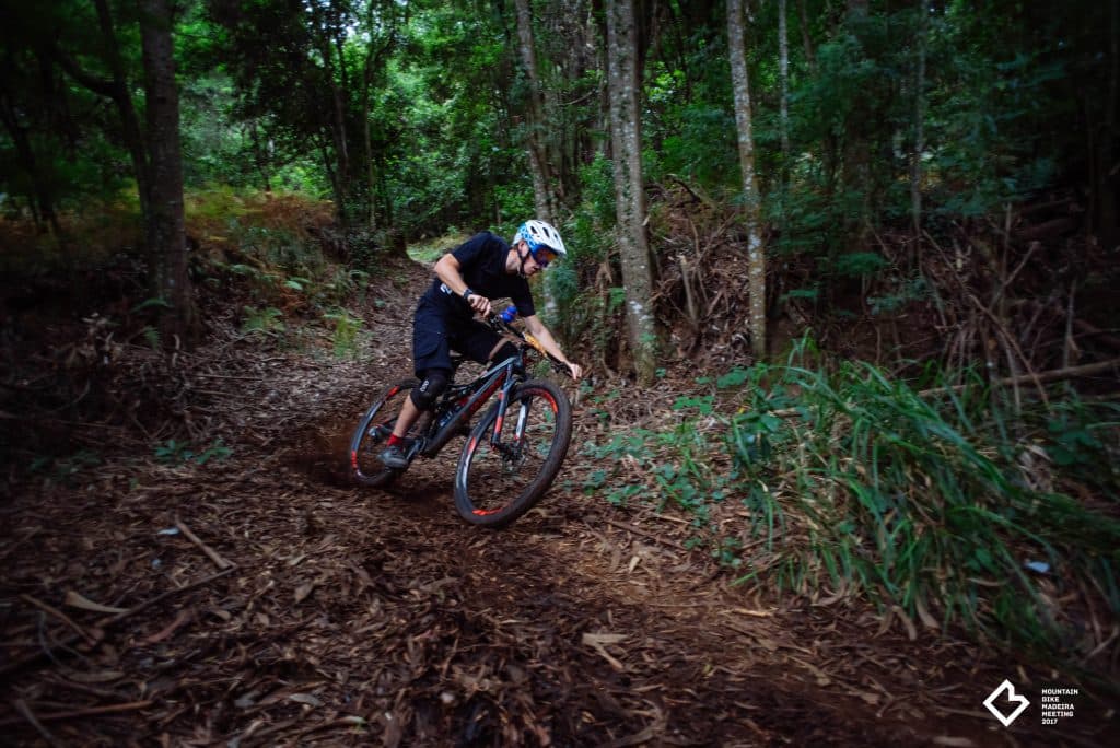 A mountain biker riding a woodland trail